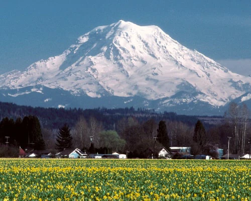 Mount Rainier